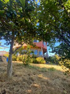 Κήπος έξω από το Casacerrolacruz