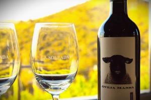 una botella de vino junto a dos copas de vino en suites en la montaña con propuesta de viñedo, en La Cumbre