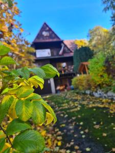 Sępia Chata dom do wynajęcia في شيراردوف ازدروي: منزل في الخلفية مع أوراق شجر في المقدمة +7 صور