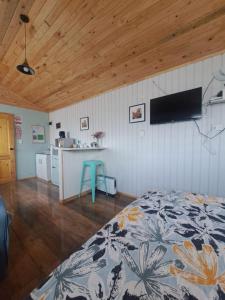 TV a/nebo společenská místnost v ubytování Tiny House Aeropuerto el Tepual