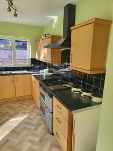 Η κουζίνα ή μικρή κουζίνα στο DudleyPalace +2 φωτογραφίες