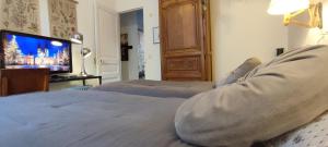 een slaapkamer met twee bedden en een flatscreen-tv bij PARIS AUTHENTIC HOUSE Métro Line 14 Station Hôpital Bicêtre, RER B Gentilly in Parijs