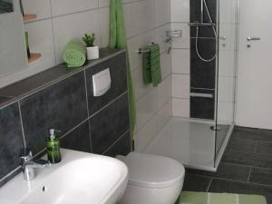 een badkamer met een toilet, een wastafel en een douche bij Ferienwohnungen Ingrid Alfes in Ernestus +48 foto's