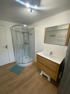 une salle de bain avec une douche en verre et un lavabo dans l'établissement La maison Callinora, à La Chapelle-Saint-Étienne