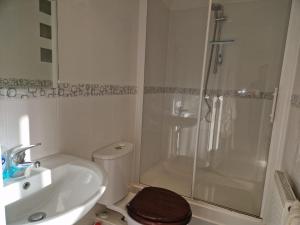 a bathroom with a toilet and a shower and a sink at Broadstairs Hideaway W Parking and Mins to Beach in Broadstairs