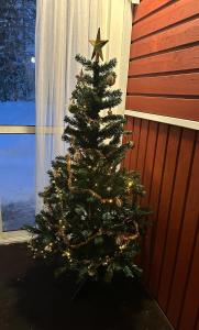 a christmas tree with a star on top of it at Havuille Lodge in Rovaniemi