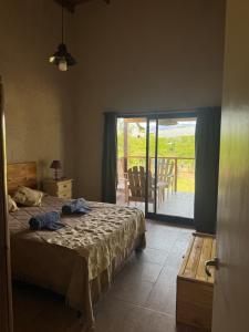 een slaapkamer met een bed en een glazen schuifdeur bij Cabaña Zara in Villa Yacanto