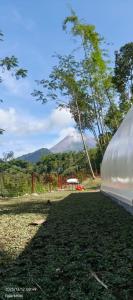 a view of a mountain in the distance at Kayi glamping in Kaliurang