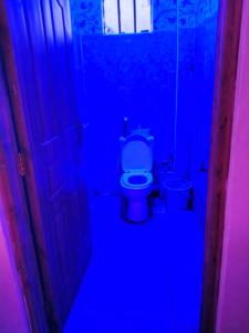 een badkamer met een toilet in een blauwe kamer bij Goshen heights in Kitengela 