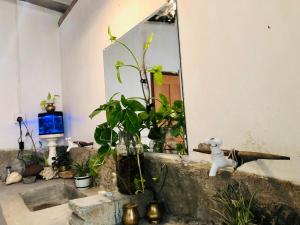 Φωτογραφία από το άλμπουμ του Ku'Vana Hostel Kandy σε Kandy