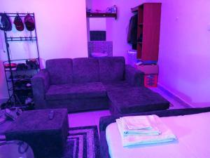 een woonkamer met een paarse bank en een roze kamer bij Goshen heights in Kitengela 