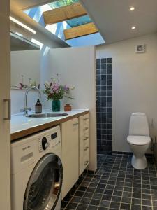 Una lavadora en un baño con lavabo e inodoro. en Architect-Designed Wooden House In Tisvilde Lunde, en Tisvildeleje 16 fotos más