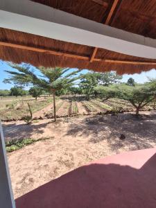 vistas al campo desde el porche de una casa en Catalyst Academy, en Sifoe