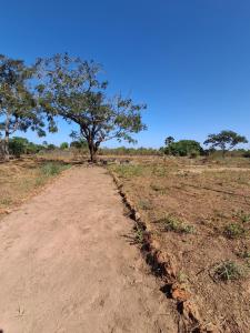 un camino de tierra en medio de un campo con un árbol en Catalyst Academy, en Sifoe