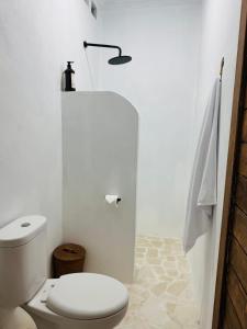 een witte badkamer met een toilet en een licht bij Gypsea Rest Villa in Nusa Lembongan +19 foto's