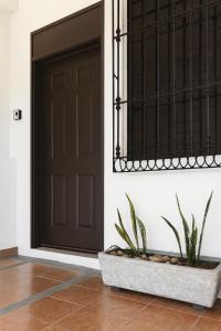 Fotografie z fotogalerie ubytování Hospedaje Aldana - Posada SOL en zona natural v destinaci Tuxpan de Rodríguez Cano