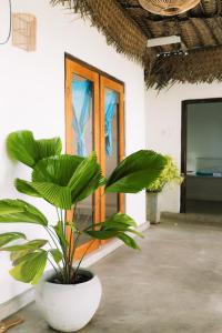 a plant in a white pot in front of a window at Naïa Ocean House Midigama in Midigama West +46 photos
