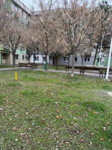 un groupe de bancs dans un parc avec des arbres dans l'établissement Albert Studio, à Drobeta-Turnu Severin