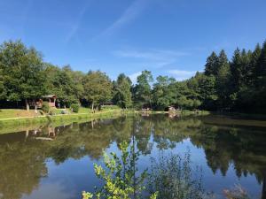 Vue sur une rivière avec des arbres en arrière-plan dans l'établissement Eifel Hills, à Niederdürenbach