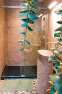 een badkamer met een douche, een wastafel en een plant bij Au Vent des Blés in Incourt +7 foto's