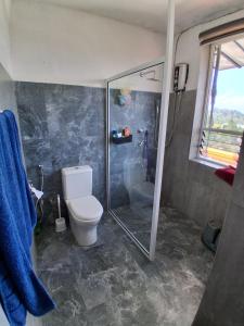 een badkamer met toilet en glazen douche bij Ferienwohnung mit 3 Schlafzimmern und Traumblick in Bandarawela +29 foto's