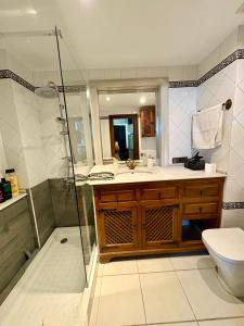 ein Badezimmer mit Dusche, Waschbecken und Toilette in der Unterkunft Apartamento medieval en el Camino De Santiago in Estella