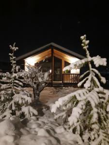 Una cabaña de troncos con árboles cubiertos de nieve frente a ella. en Holiday Home Near FOREST, en Skhidnytsya