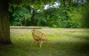 een stoel in het gras onder een boom bij Ancien Moulin Restauré in Clerques