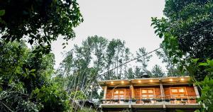 ein Holzhaus mitten im Wald in der Unterkunft Pine Cone Cottages, Ella in Ella