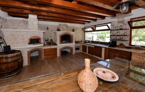 Kuchyň nebo kuchyňský kout v ubytování Beautiful Home In Dobropoljana