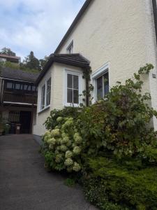 a house with a large bush in front of it at Heumöderntal in Treuchtlingen