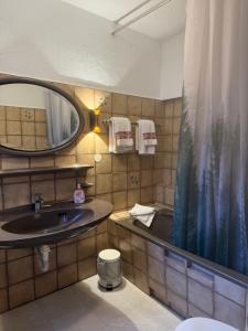a bathroom with a sink and a mirror at Haus Sonnenschein in Winterberg +64 photos
