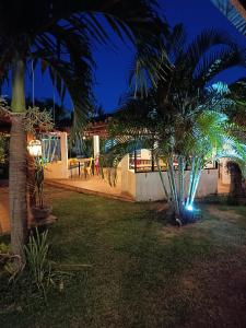 una casa con una palma nel cortile di notte di Pousada Casa Do Cocotier a São Miguel do Gostoso