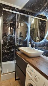 a bathroom with a sink and a toilet and a shower at Black Room Apartment in Mukacheve +36 photos