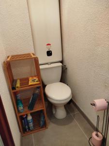 un piccolo bagno con servizi igienici in un angolo di Charmant appartement de montagne avec balcon a Mijoux
