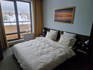 een slaapkamer met een bed en een groot raam bij Terra SP apartments-Razlog in Razlog +47 foto's