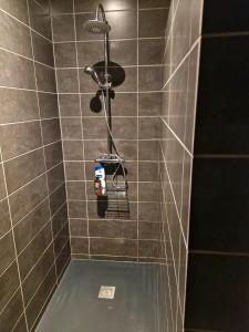 een betegelde badkamer met een douche en een föhn. bij Au Clerc de Lune in Broye