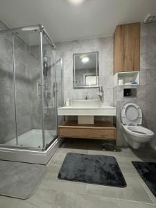 Un baño con ducha, lavabo e inodoro. en Apartman La Campanella 2, en Vrnjačka Banja