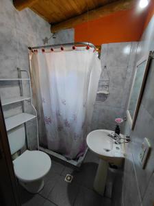 ein Badezimmer mit Toilette und Waschbecken in der Unterkunft El Rinconcito in El Bolsón