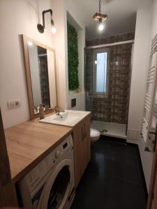 een badkamer met wastafel en wasmachine bij Studio ultracentral stefan cel mare in Craiova