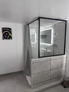 een douche in een badkamer met een glazen wand bij Luxe Centre Orléans Chatelet I Exclusivité in Orléans +13 foto's