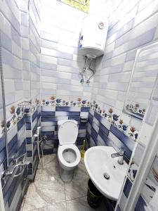 a bathroom with a toilet and a sink at Anas Nubian Guest House in Aswan +56 photos
