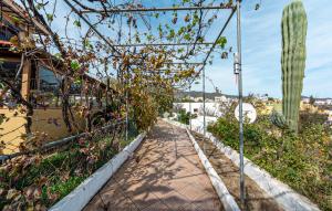 Zahrada ubytování Gorgeous Home In Valsequillo + 15 fotografií