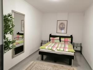 a bedroom with a bed and a mirror at Appartment Graz Zentrum in Graz
