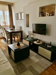 TV a/nebo společenská místnost v ubytování Beli Apartman u Zlatiborskim konacima Bele vode bb
