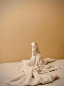 Fotografie z fotogalerie ubytování pyramids night v Káhiře