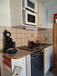 una cucina con fornelli e microonde di Charmant appartement de montagne avec balcon a Mijoux