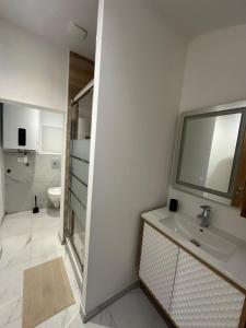 een badkamer met een wastafel en een toilet bij Le Graoully 1 in Metz