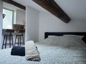 een slaapkamer met een bed en een keuken met een aanrecht bij Le Graoully 1 in Metz