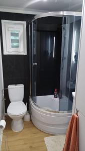 a bathroom with a white toilet and a shower at Mobil home Katka in Biograd na Moru +15 photos